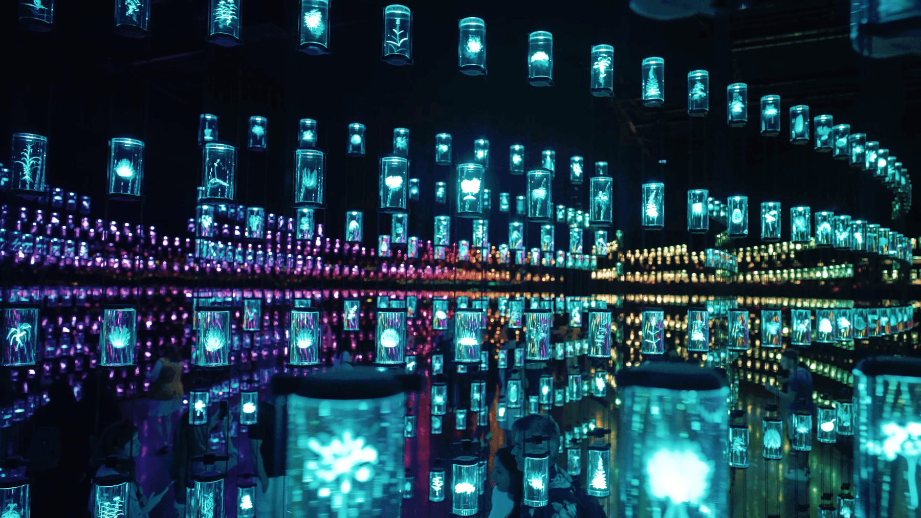 Immersive installation