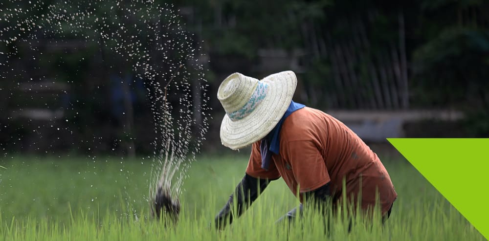 Plant-based proteins: building a sustainable future