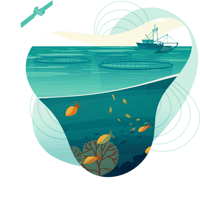 Sustainable seafood solutions